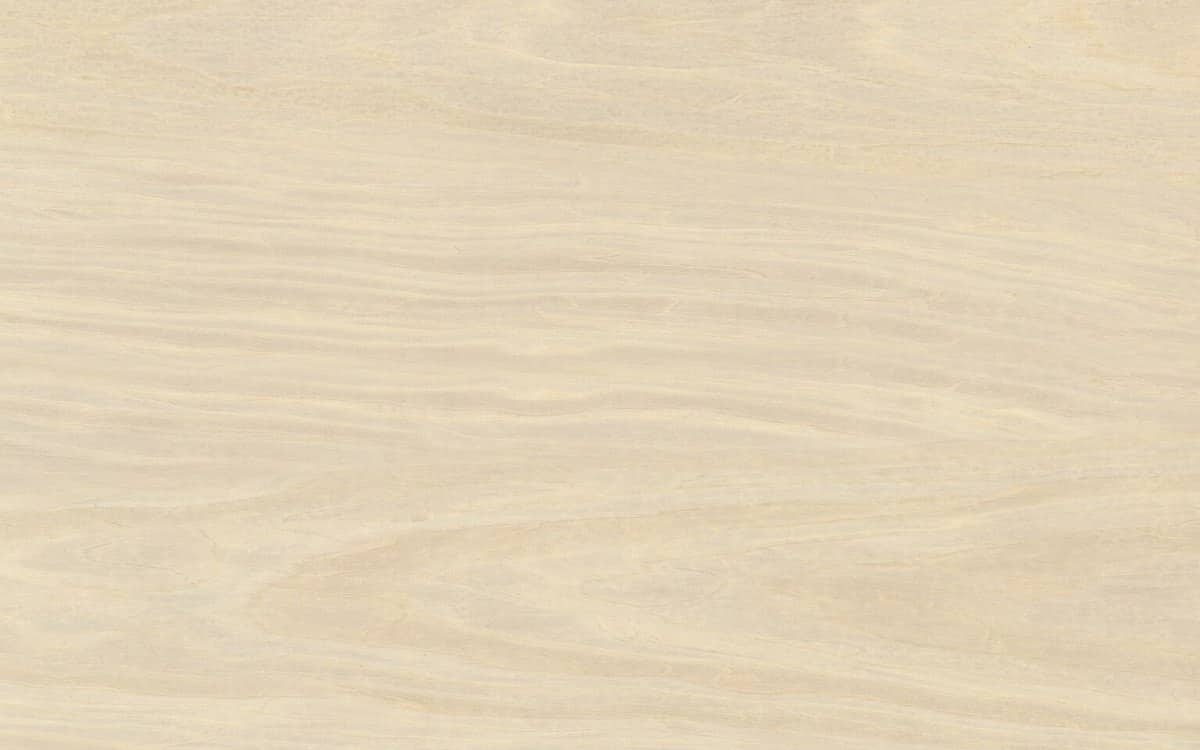 Close-up swatch of pale, fine-grained maple wood