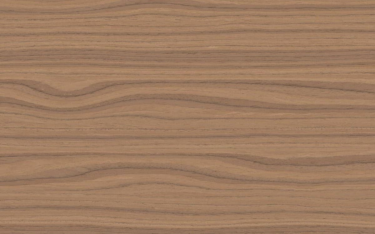 Close-up swatch of black walnut wood grain
