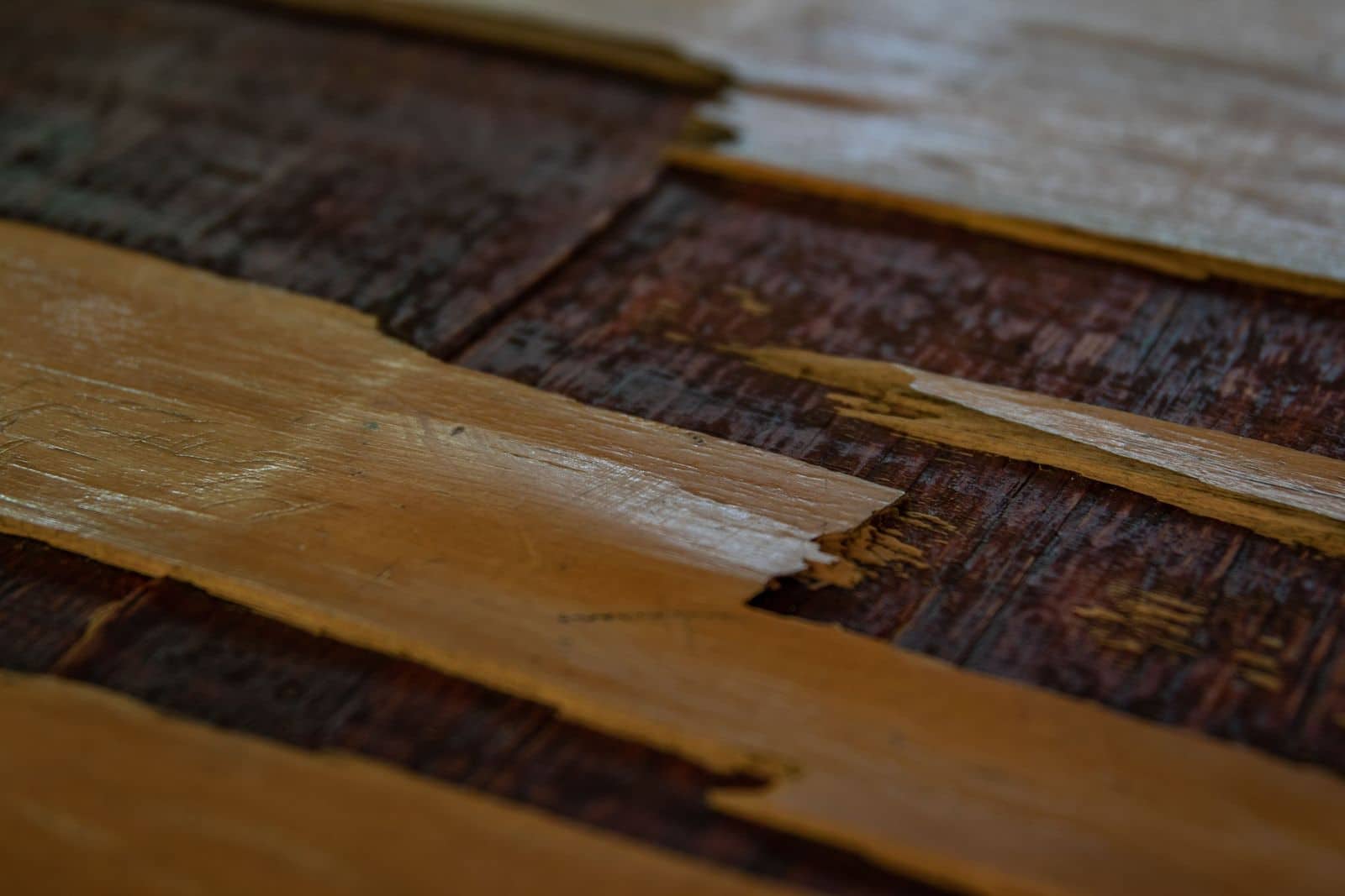 Close-up of a damaged wood floor with the top layer lifting and splitting
