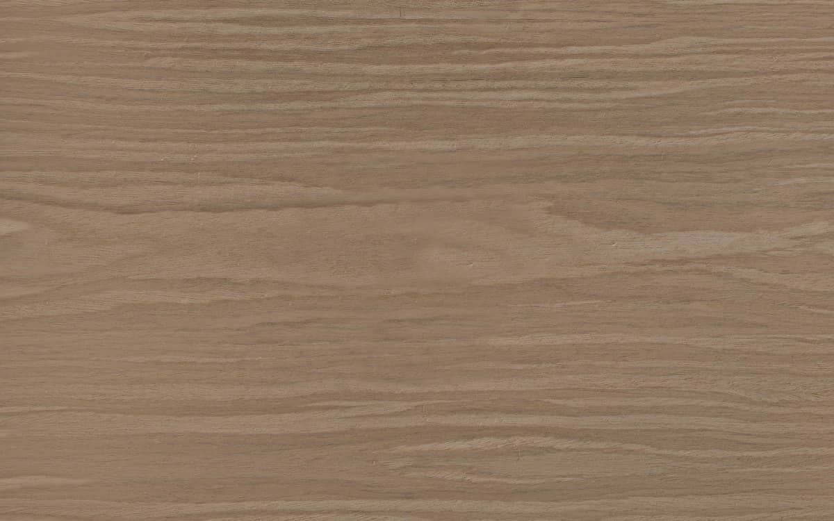Close-up swatch of white oak wood grain